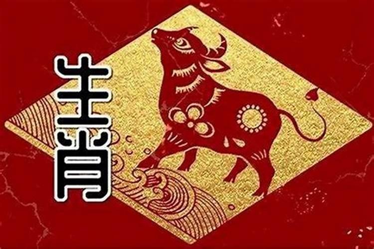 为什么属牛的与龙相克 从爱情方面看八字合不合？