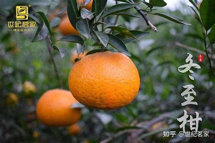 说一说你家乡冬至的习俗？