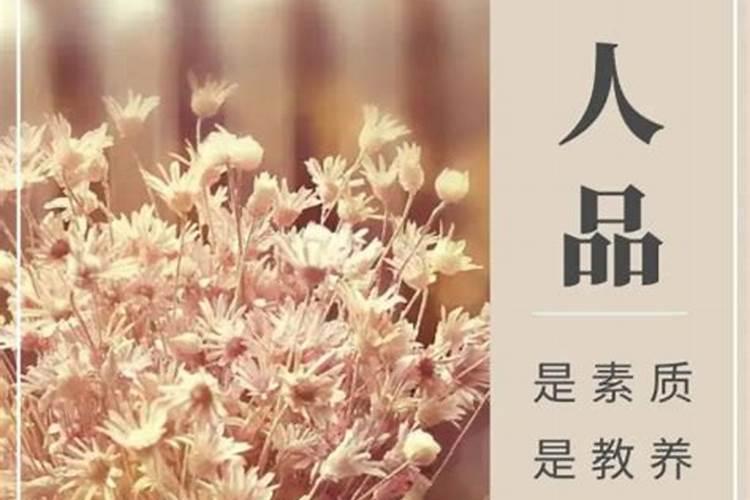 1995年属猪的几月出生最好命
