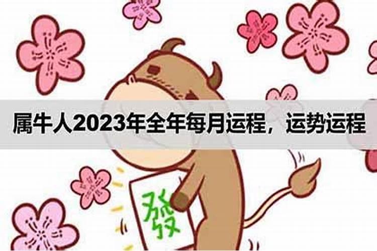 副卡可以单独充话费吗