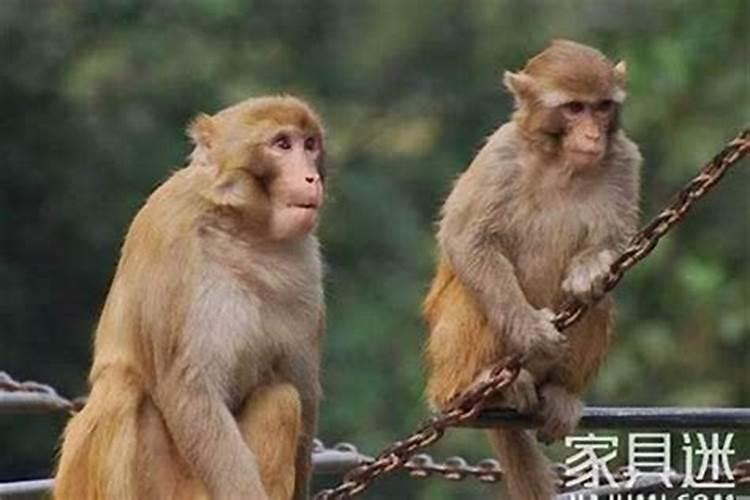 2025年上元中元下元节分别是哪一天