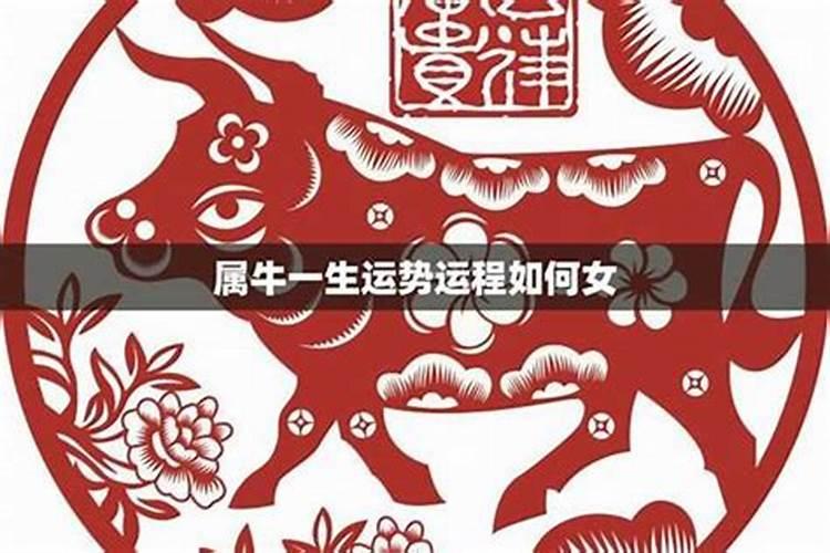 属牛的正月初一出生好吗,属牛人正月出生好吗