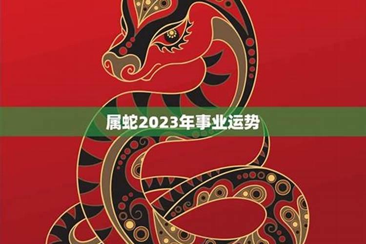 1972属鼠人2025年全年运势运程