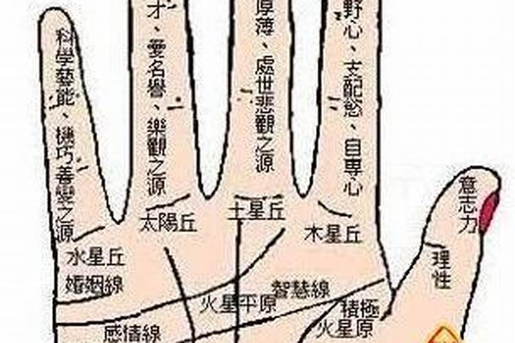 塔罗牌的结果可以公布给别人吗,塔罗牌两次结果相反