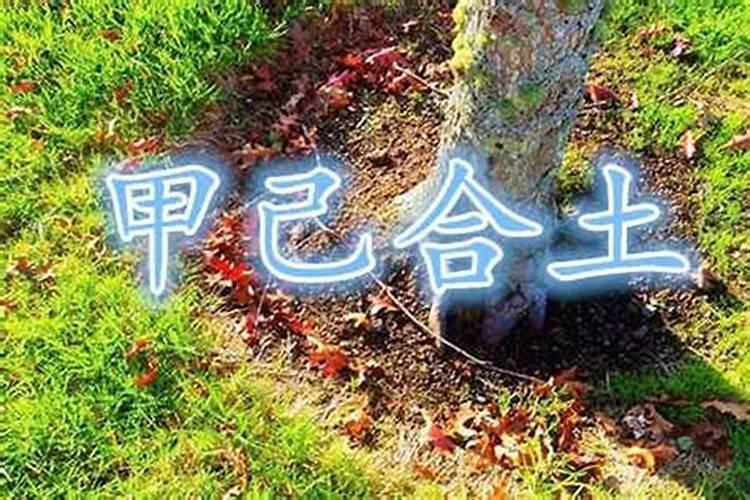 八字合婚改善婚姻不顺 喜双方八字五行互补？