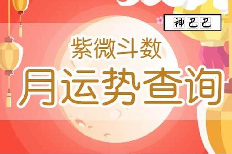 72年鼠女在2025年的全年运势
