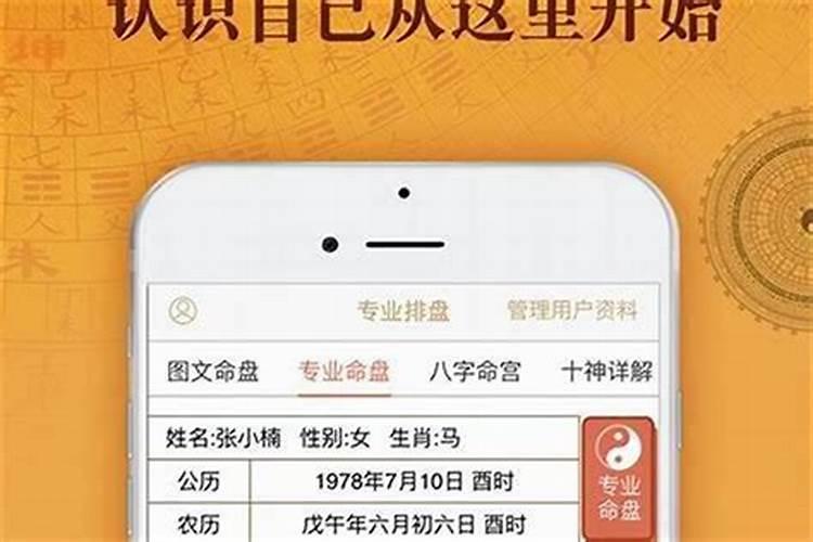 八字禄神指的是什么