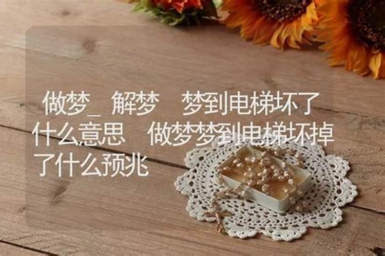 梦见马蹄子断了的预兆
