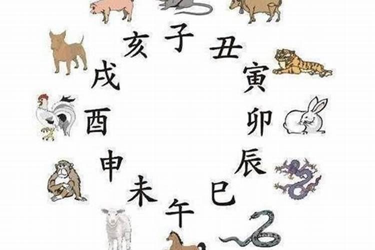 何为八字的三会局三合局