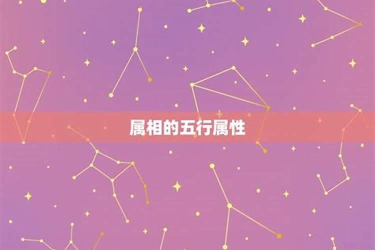 鸡和虎的属相合不合