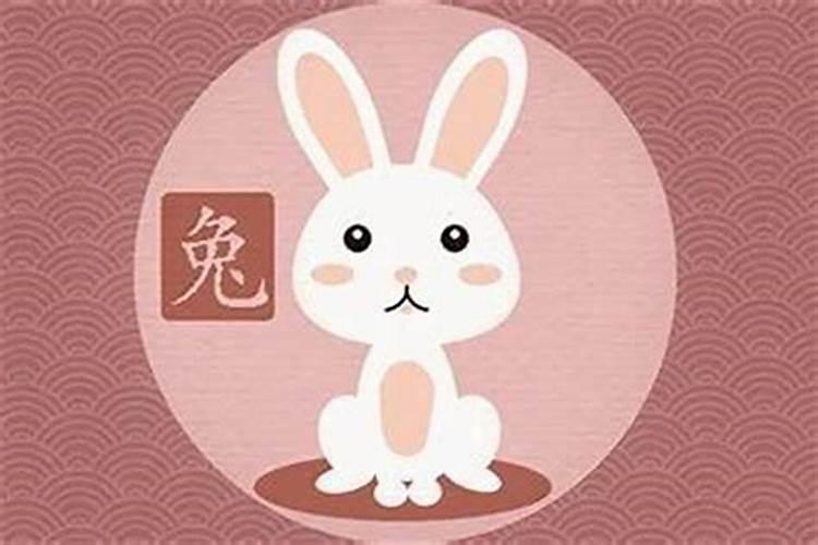 女人额头高说明什么？