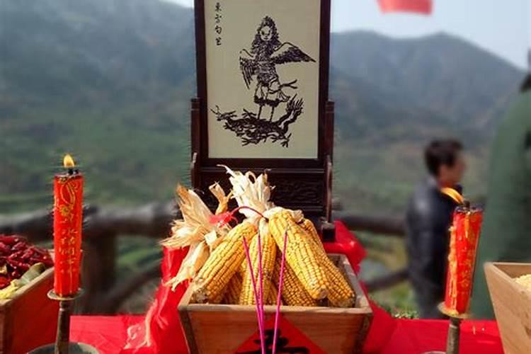 76年的龙女2025年运势怎么样