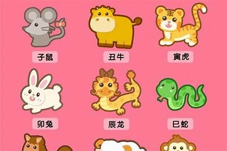 2025属猪化解破太岁最佳方法