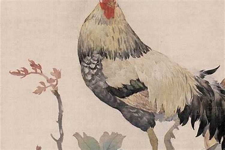 八月属鸡的命运如何