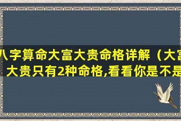 富贵命的八字命理特征八字带什么必定大富大贵？