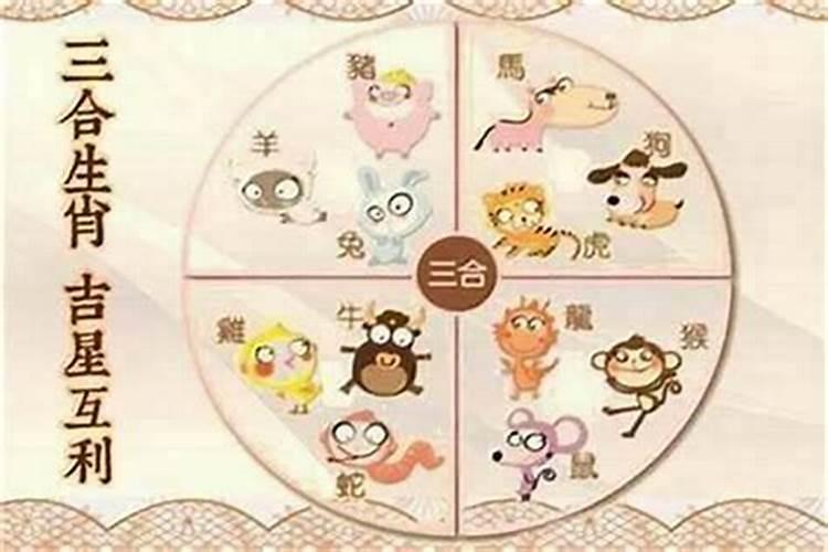 最准的12生肖配对表,史上最全生肖婚配
