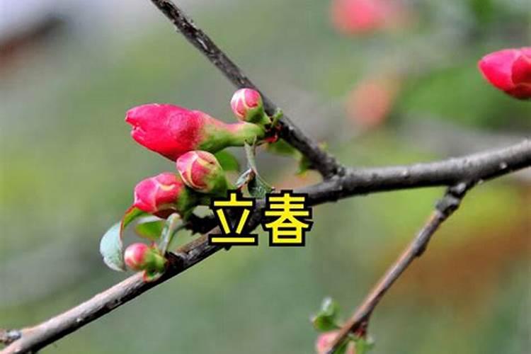 2024年立春后不能上坟吗 立春什么时候上坟