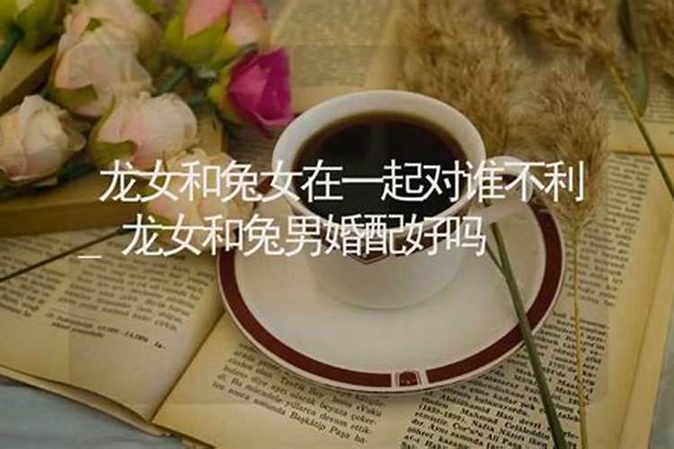 属兔男跟属龙女配不？