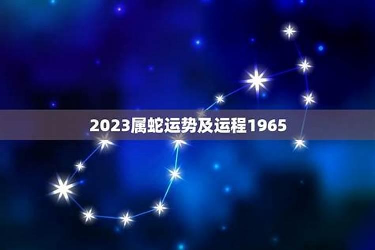 65年属蛇2025年运势如何