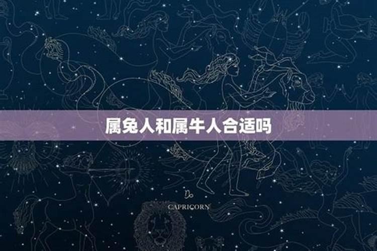 属兔女和属牛男的属相配吗 男属牛和女属兔子合婚吗