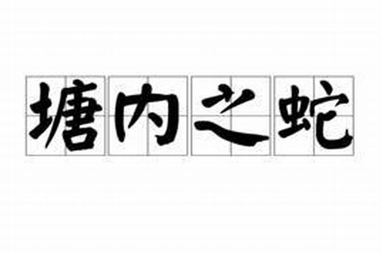 1977年属蛇人一生运势