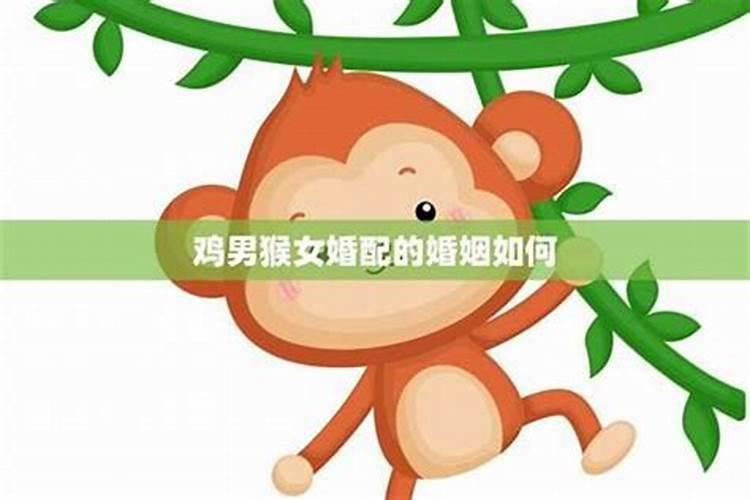 1981年农历三月属鸡的女人和1980年农历九月属猴的男人可以婚配吗？有...