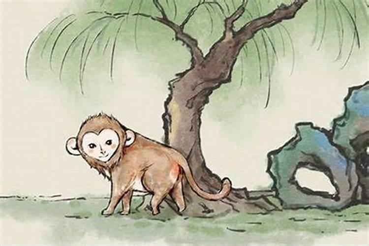 68年的猴53岁以后命运怎么样,1968年属猴人一生命运