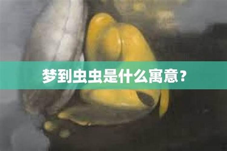 梦见好多虫子是什么意思 周公解梦