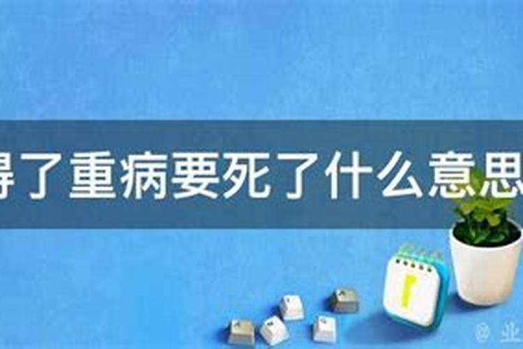 属虎的佩戴什么生肖好 哪种生肖挂件适合属虎佩戴