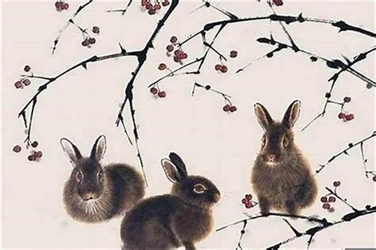 三月兔子运势如何