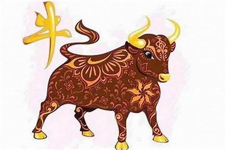 重阳节送什么给老人 重阳节送哪些东西给老人