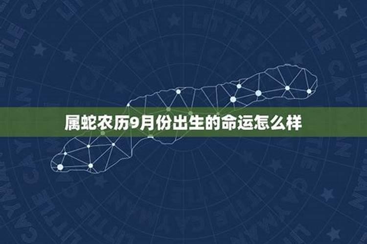 2025年蛇几月出生的孩子最好命
