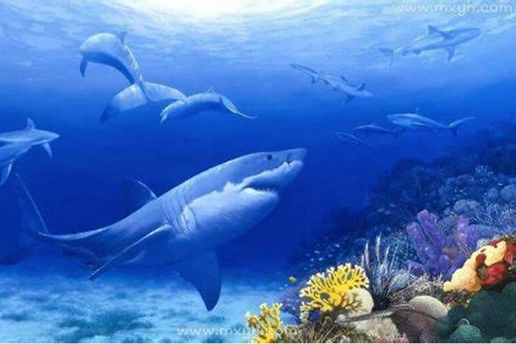 梦见大海和鱼是什么意思？