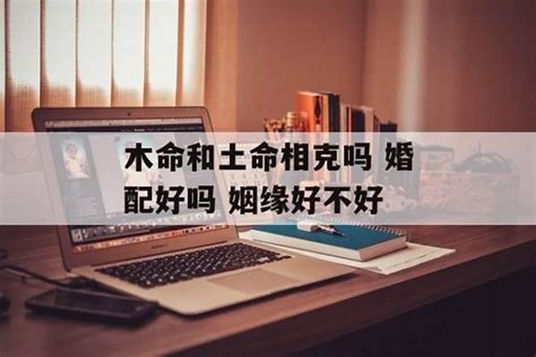 木命和土命婚配好吗 五行相克婚姻不合