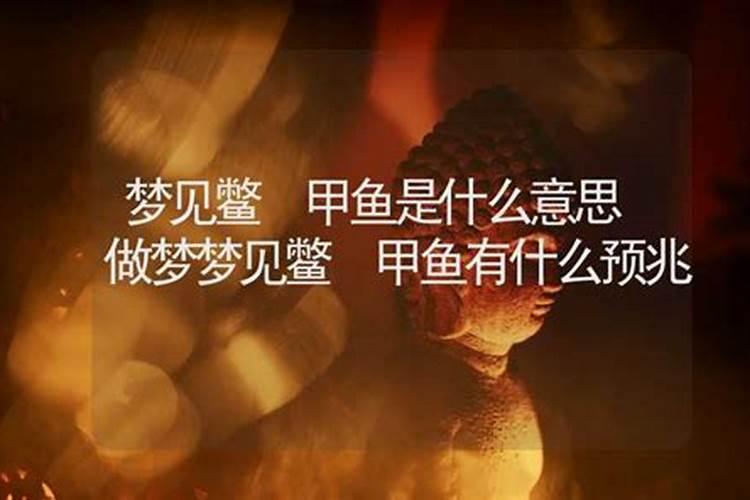 梦见水鱼代表什么意思