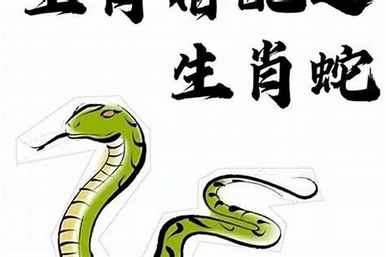 属蛇的和什么属相最配