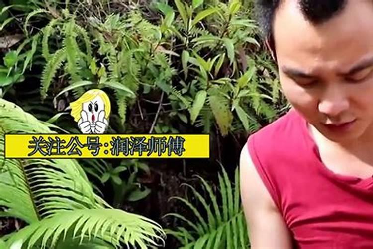属虎犯太岁的年份