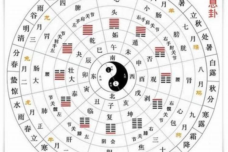 女命八字怎么看子息 有什么说法？