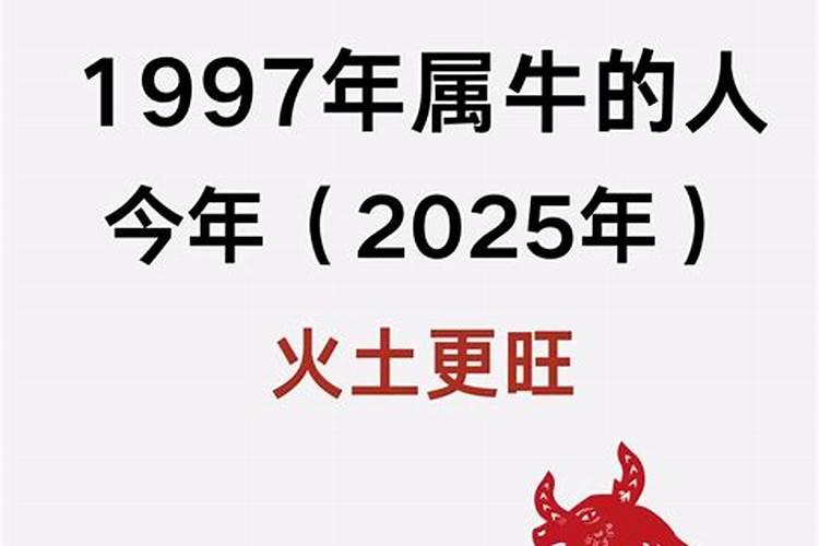 2025属牛的年龄表