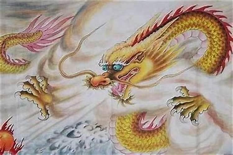 属龙1988年正月初一早上5点55命运怎么样