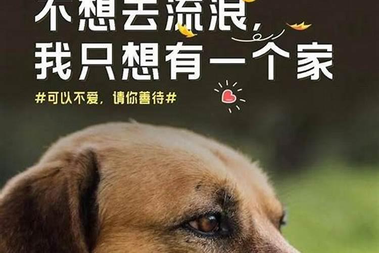 中国算命大师排名？