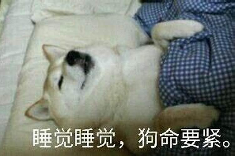 86年属虎床头朝哪个方向好,86年属虎人床头朝向
