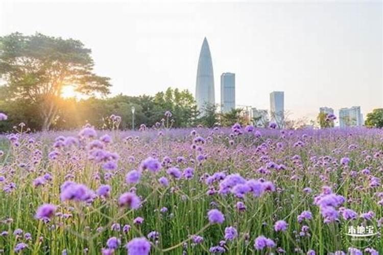 广东清明节必去三个地方