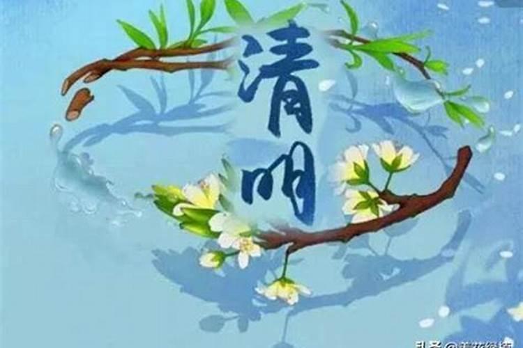 关于清明节的知识有哪些？