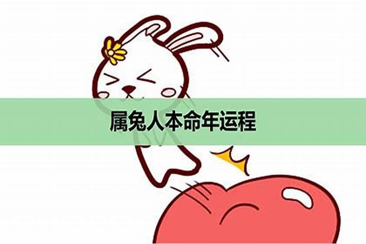生肖虎2024年运势及运程详解