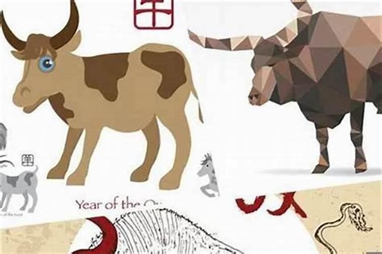 重阳节的风俗传统有哪些