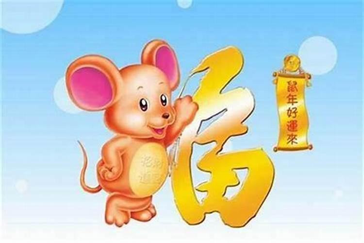 2025属猪的全年运势如何