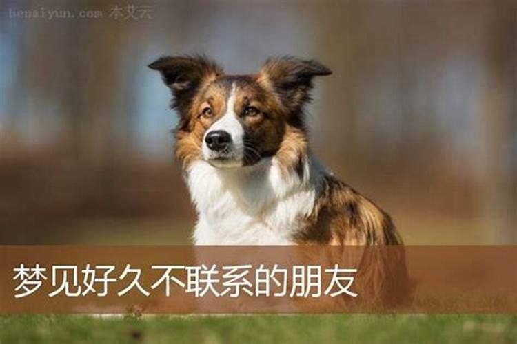 梦见久不联系的朋友的预兆
