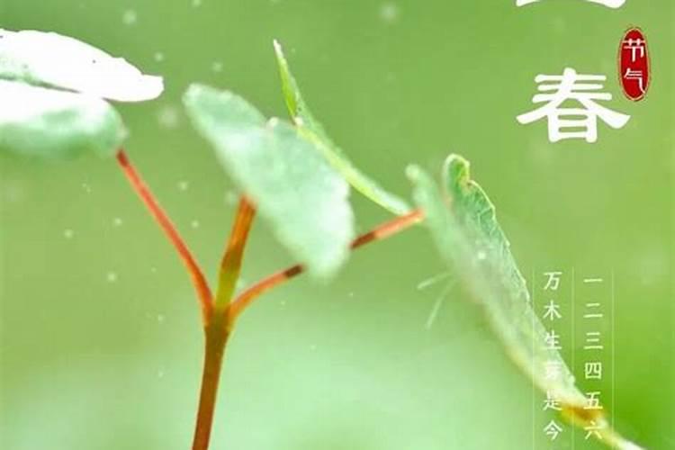 阴历1990年什么时间立春