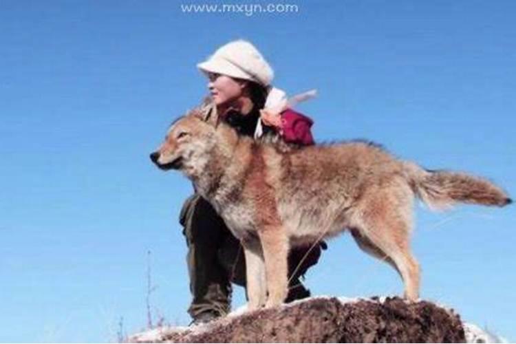 女人做梦梦到自己的儿子死了
